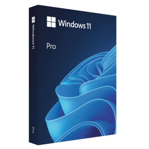 MS Windows 11 Professional FPP 64-bit Eng Intl USB