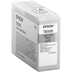 Epson Singlepack Photo Light Light Black T850900 UltraChrome HD ink 80ml