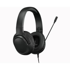 Lenovo H110 Headset/Jack/Čierna